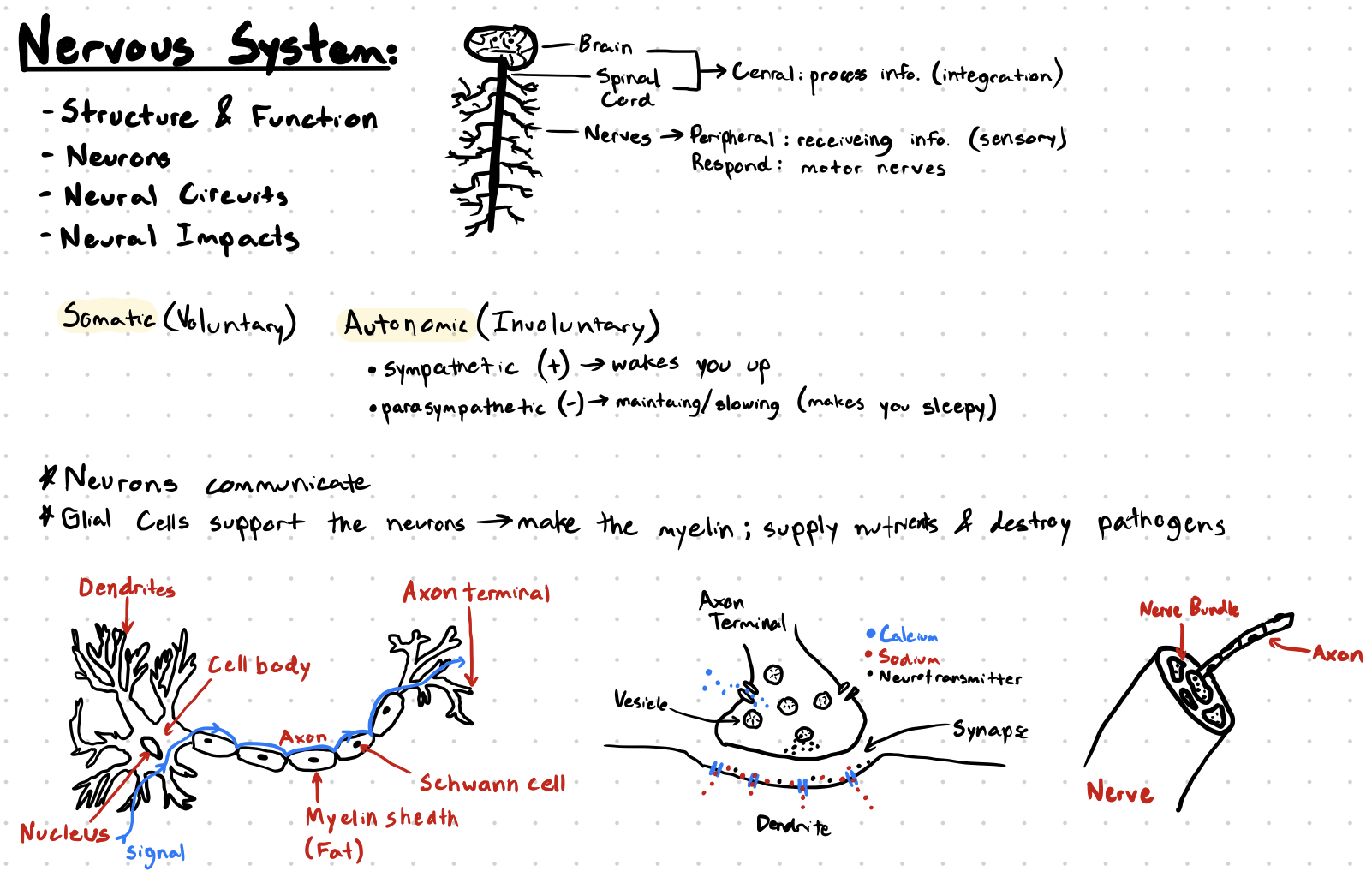 example notes